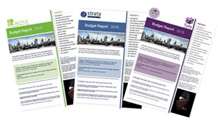 Personalised Budget Reports for IFAs